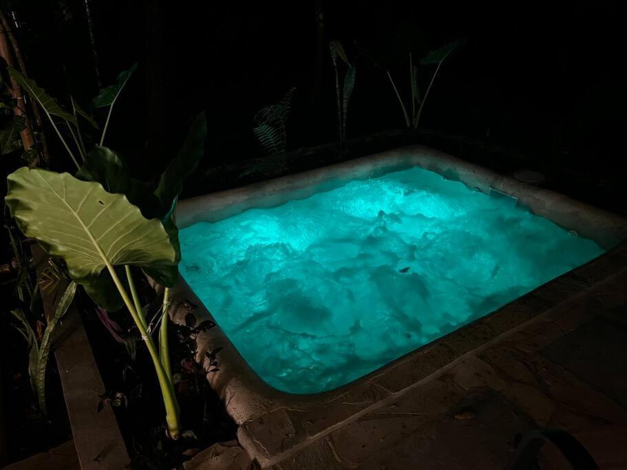 Cabana De Bambu En La Selva Palenque Εξωτερικό φωτογραφία