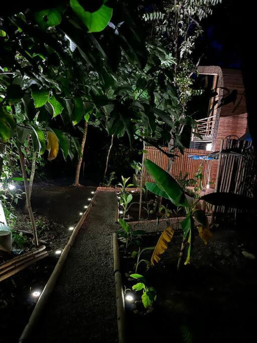 Cabana De Bambu En La Selva Palenque Εξωτερικό φωτογραφία